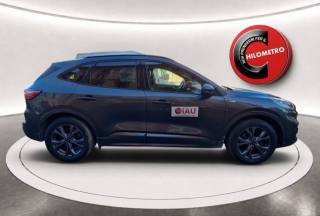 FORD Kuga usata, con Cerchi in lega