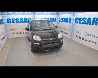 FIAT New Panda 1.0 firefly hybrid s&s 70cv 5p.ti