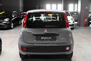 FIAT Panda usata, con Chiusura centralizzata