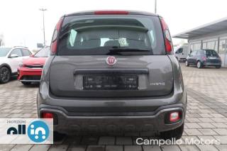 FIAT Panda usata 3