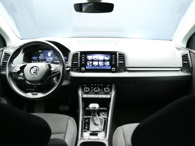 SKODA Karoq usata, con Climatizzatore