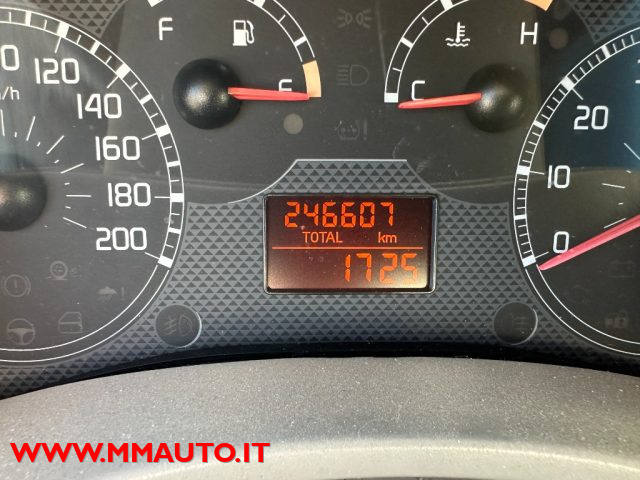FIAT Panda usata, con Fendinebbia
