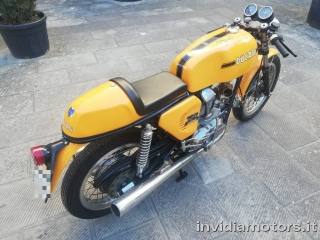 DUCATI 750 Sport usata 5