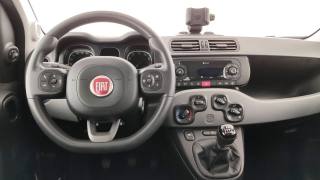 FIAT Panda usata 39