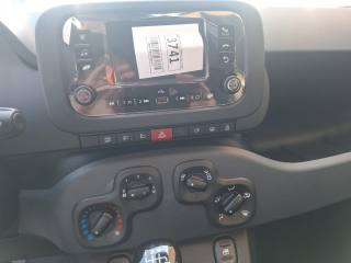 FIAT Pandina usata, con Climatizzatore