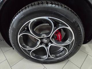 ALFA ROMEO Stelvio usata, con Cronologia tagliandi