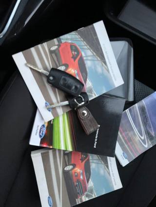 FORD EcoSport usata, con Chiusura centralizzata