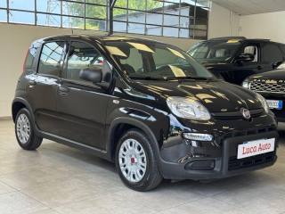 FIAT Panda usata, con Alzacristalli elettrici