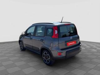 FIAT Panda usata 2