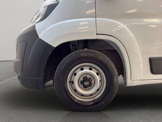 OPEL Movano usata 18