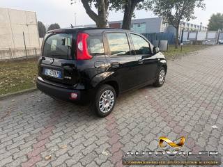 FIAT Panda usata, con Alzacristalli elettrici