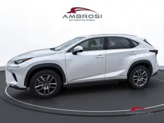 LEXUS NX 300h usata 5