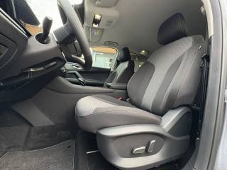 MG HS usata, con Controllo trazione