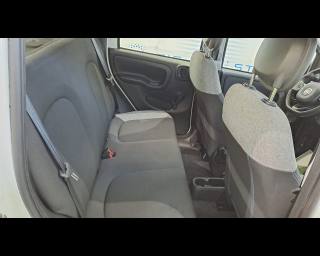 FIAT New Panda usata 15
