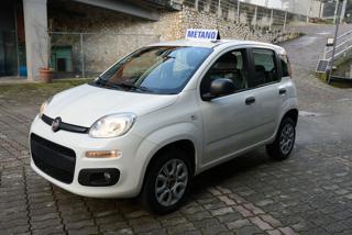 FIAT Panda usata, con Chiusura centralizzata