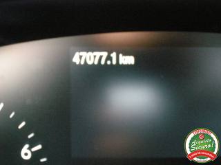 FORD Focus usata 15