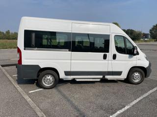 FIAT Ducato usata, con Alzacristalli elettrici