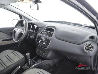 FIAT Punto usata 11