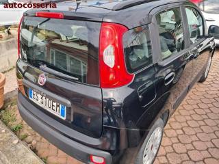 FIAT Panda usata, con Alzacristalli elettrici