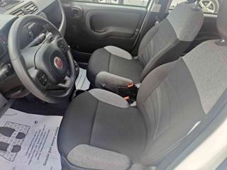 FIAT Panda usata, con Limitatore di velocità