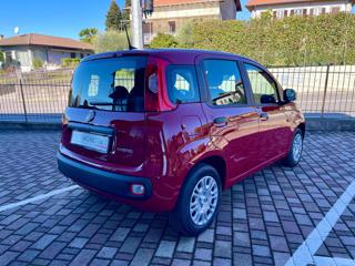 FIAT Panda usata, con Alzacristalli elettrici