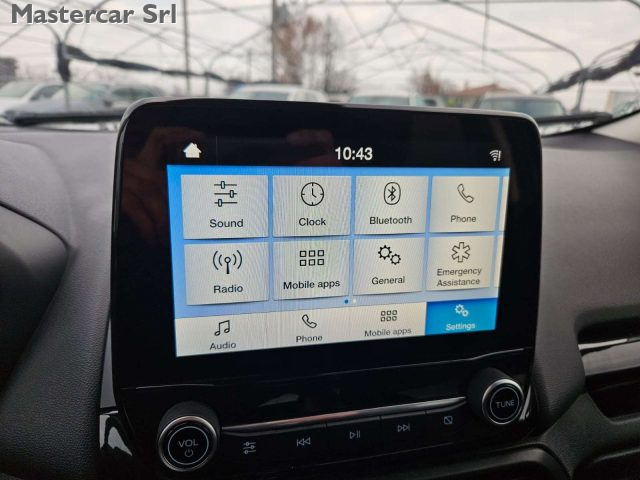 FORD EcoSport usata, con Fendinebbia