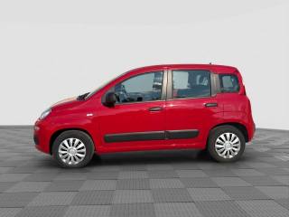 FIAT Panda usata 1