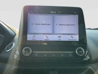 FORD EcoSport usata 15