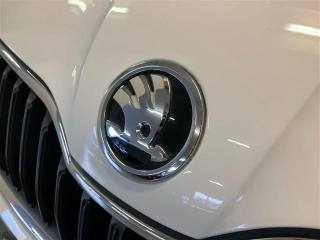 SKODA Fabia usata 24