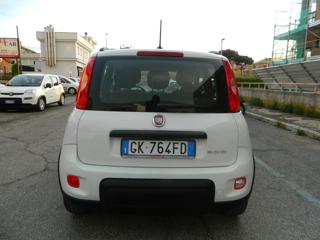 FIAT Panda usata, con Alzacristalli elettrici