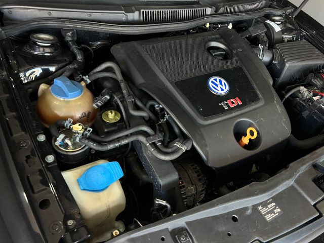 VOLKSWAGEN Golf usata, con Fendinebbia