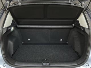 MG ZS usata, con Chiusura centralizzata