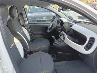 FIAT Panda usata, con Volante in pelle