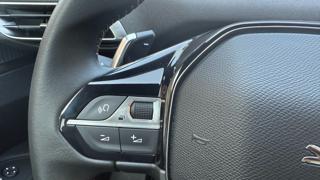 PEUGEOT 3008 usata, con Autoradio