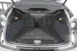 ALFA ROMEO Tonale usata, con Fendinebbia