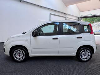 FIAT Panda usata, con Climatizzatore
