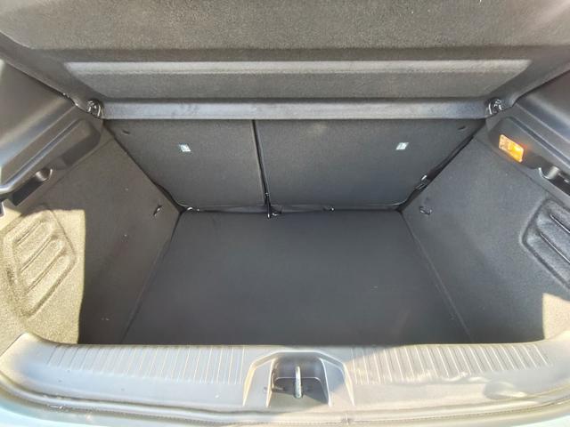 RENAULT Clio usata, con Park Distance Control