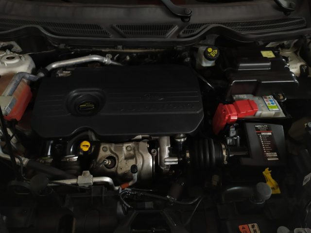 FORD EcoSport usata, con Fendinebbia