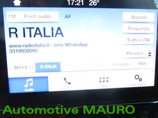 FORD EcoSport usata, con Airbag testa