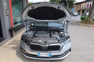 SKODA Octavia usata 166