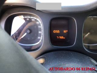 FIAT Panda usata, con Fendinebbia