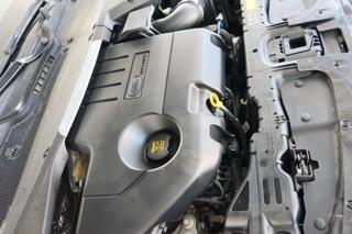 LAND ROVER Range Rover Evoque usata 63