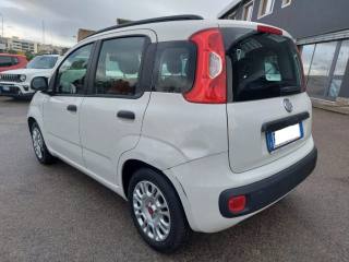 FIAT Panda usata, con Servosterzo