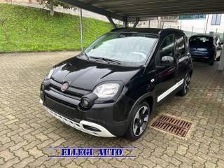 FIAT Pandina usata, con Airbag Passeggero