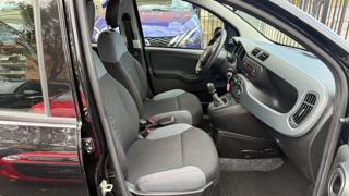 FIAT Panda usata, con Servosterzo