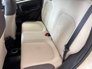 FIAT Panda usata 10