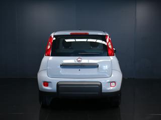 FIAT Panda usata, con Alzacristalli elettrici