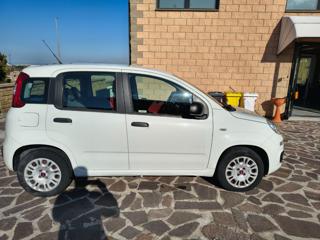 FIAT Panda usata, con Alzacristalli elettrici