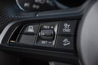 ALFA ROMEO Stelvio usata, con Bracciolo