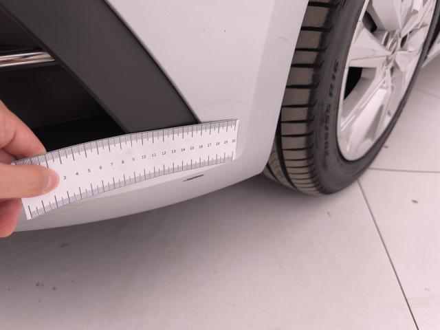 RENAULT Megane usata, con Sistema di chiamata d